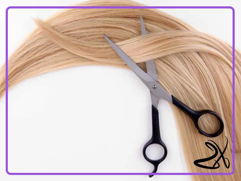 بهترین برند قیچی‌های کوتاهی مو