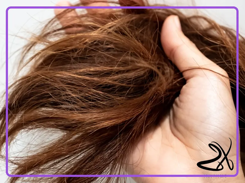 تکنیک‌های کوتاهی مو برای موهای خشک و شکننده